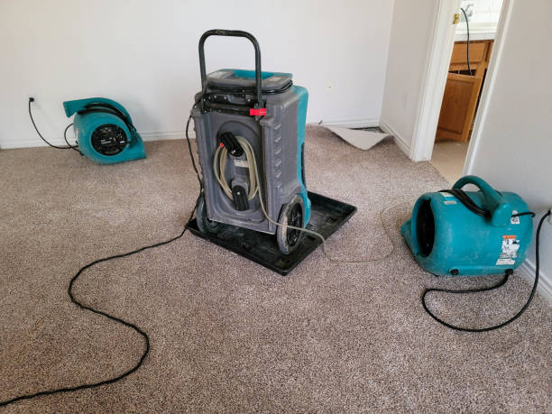 Best Flood restoration services  in Ulysses, KS