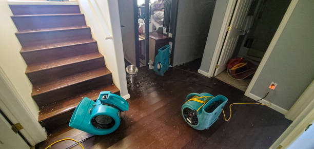 Best Flood damage cleanup  in Ulysses, KS