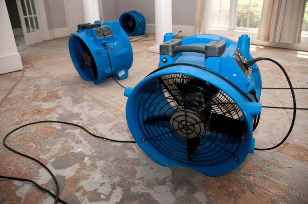 Best Flooded house restoration  in Ulysses, KS